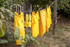 Easy Camp Spirit 300 Tunneltent - 3 Persoons - Groen -Outwell Winkel 1267 1900 waslijn