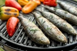 CADAC Grillo Chef 40 Gasbarbecue - BBQ/Dome -Outwell Winkel 801 1200 cadac grillo chef 40 eten