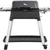 Everdure Force Gas Barbecue - Grijs -Outwell Winkel 900 959 9312646028562